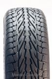 195/65R15 91H TL Apollo Alnac Winter 20mm Weiwand